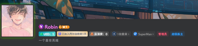 图片[9]-基于WordPress的子比主题美化-阿尔法欧欧