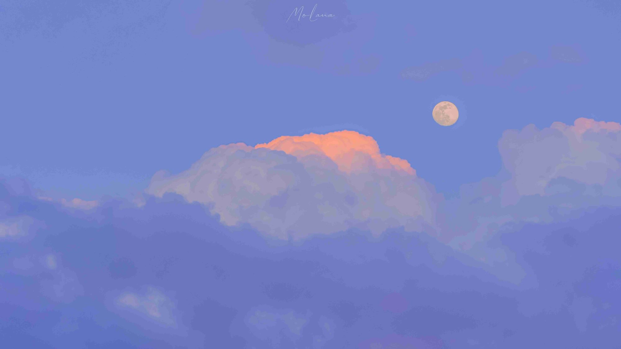 求得万万遍-阿尔法欧欧