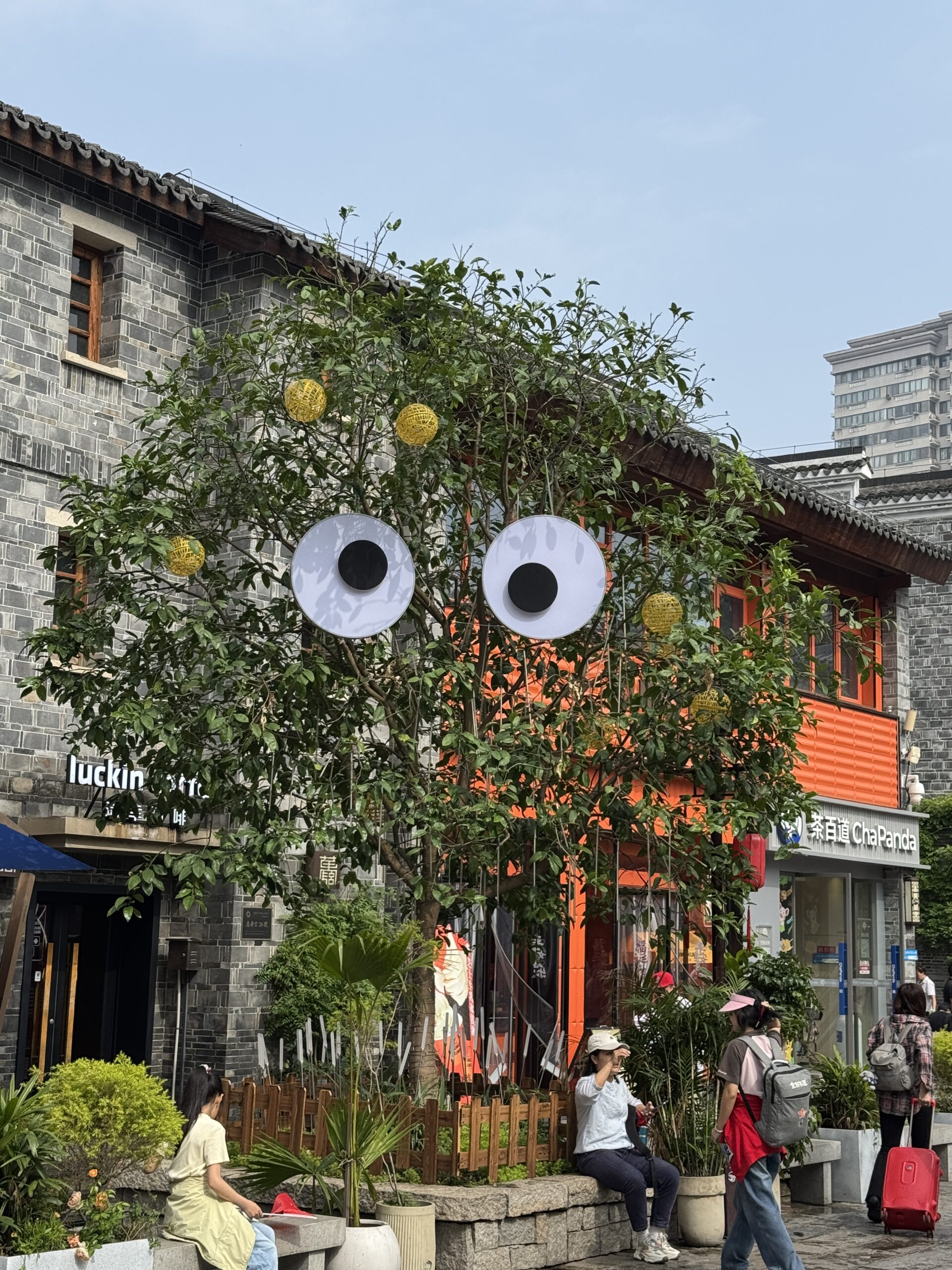 阿尔法欧欧-AlphaOO
