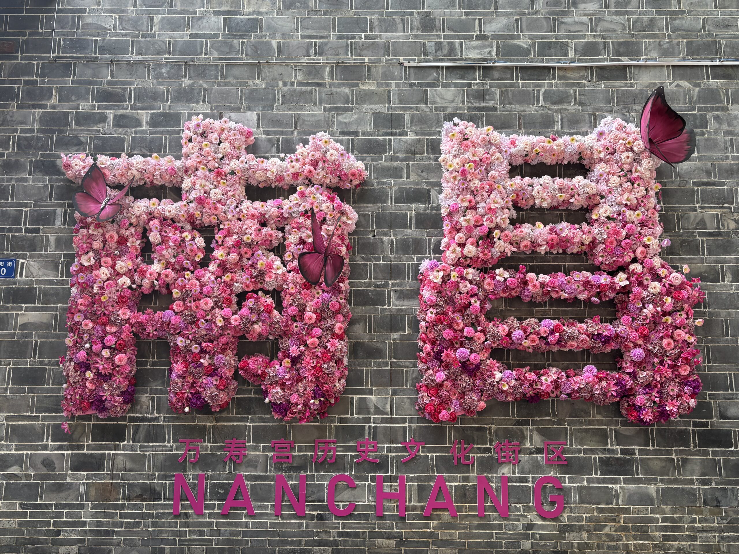 阿尔法欧欧-AlphaOO
