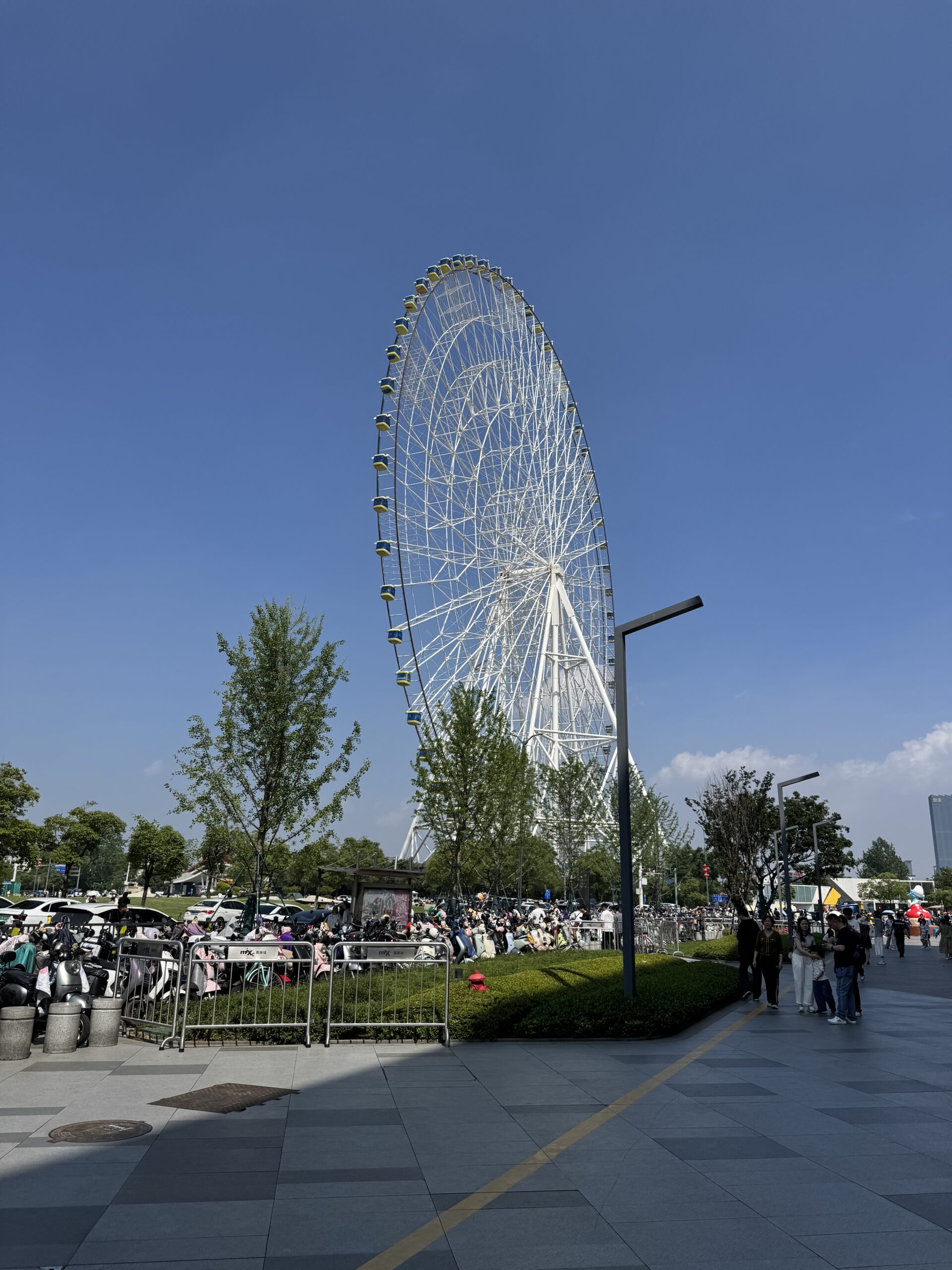 阿尔法欧欧-AlphaOO
