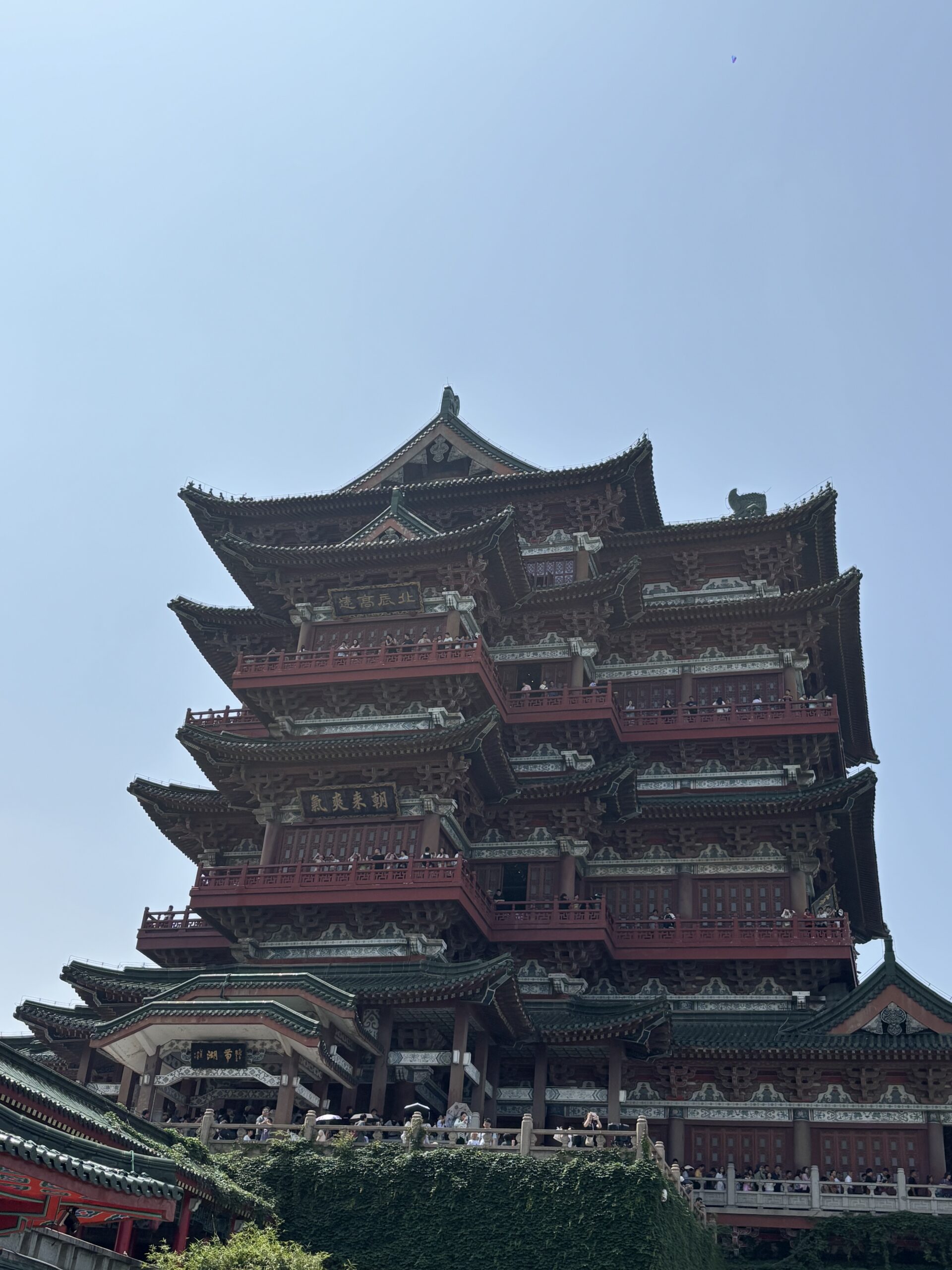 阿尔法欧欧-AlphaOO
