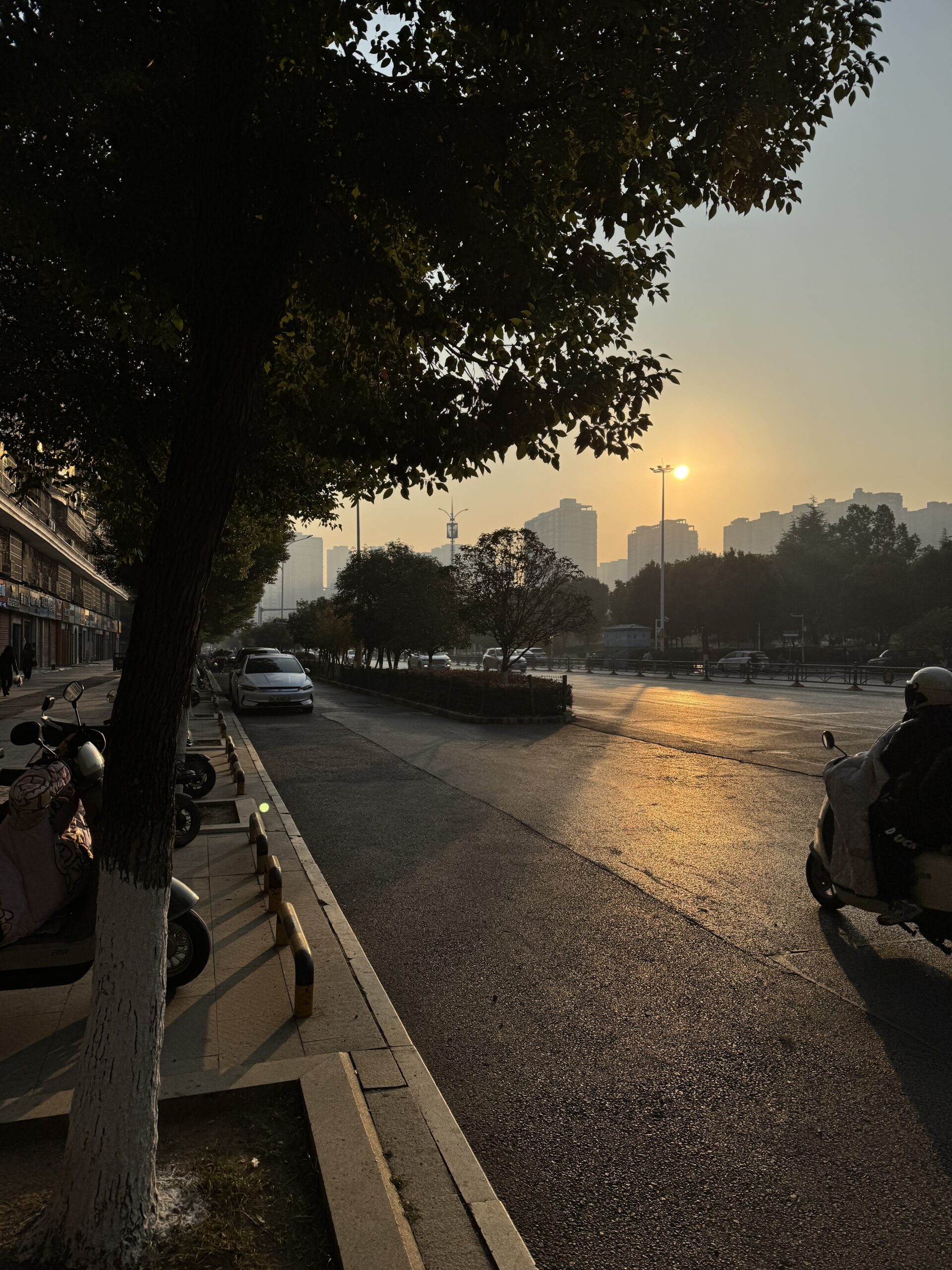 阿尔法欧欧-AlphaOO
