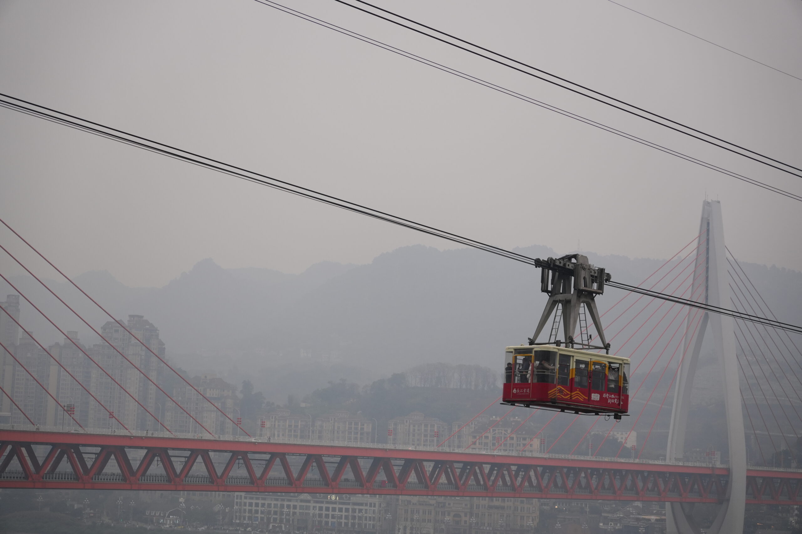 阿尔法欧欧-AlphaOO
