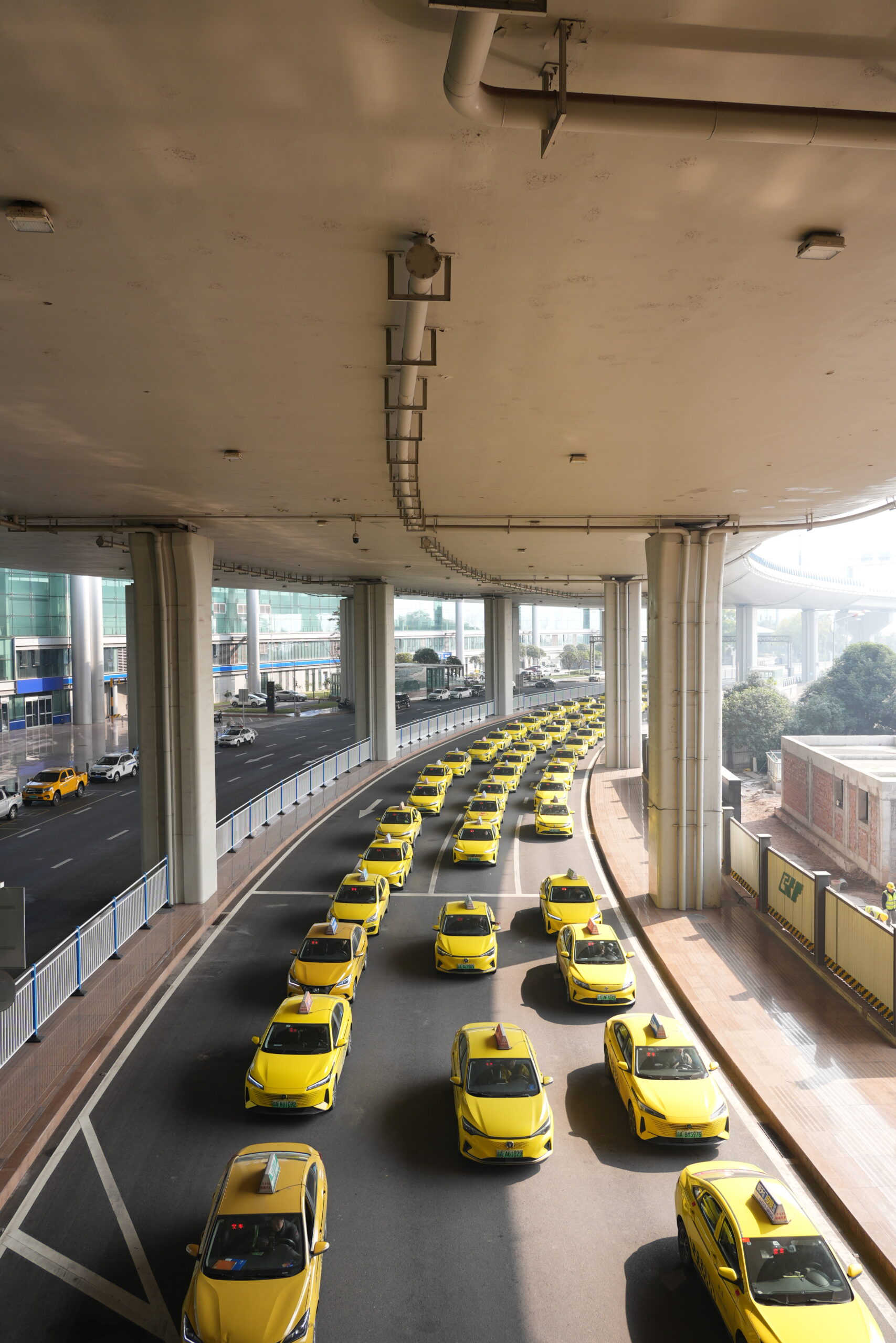 阿尔法欧欧-AlphaOO
