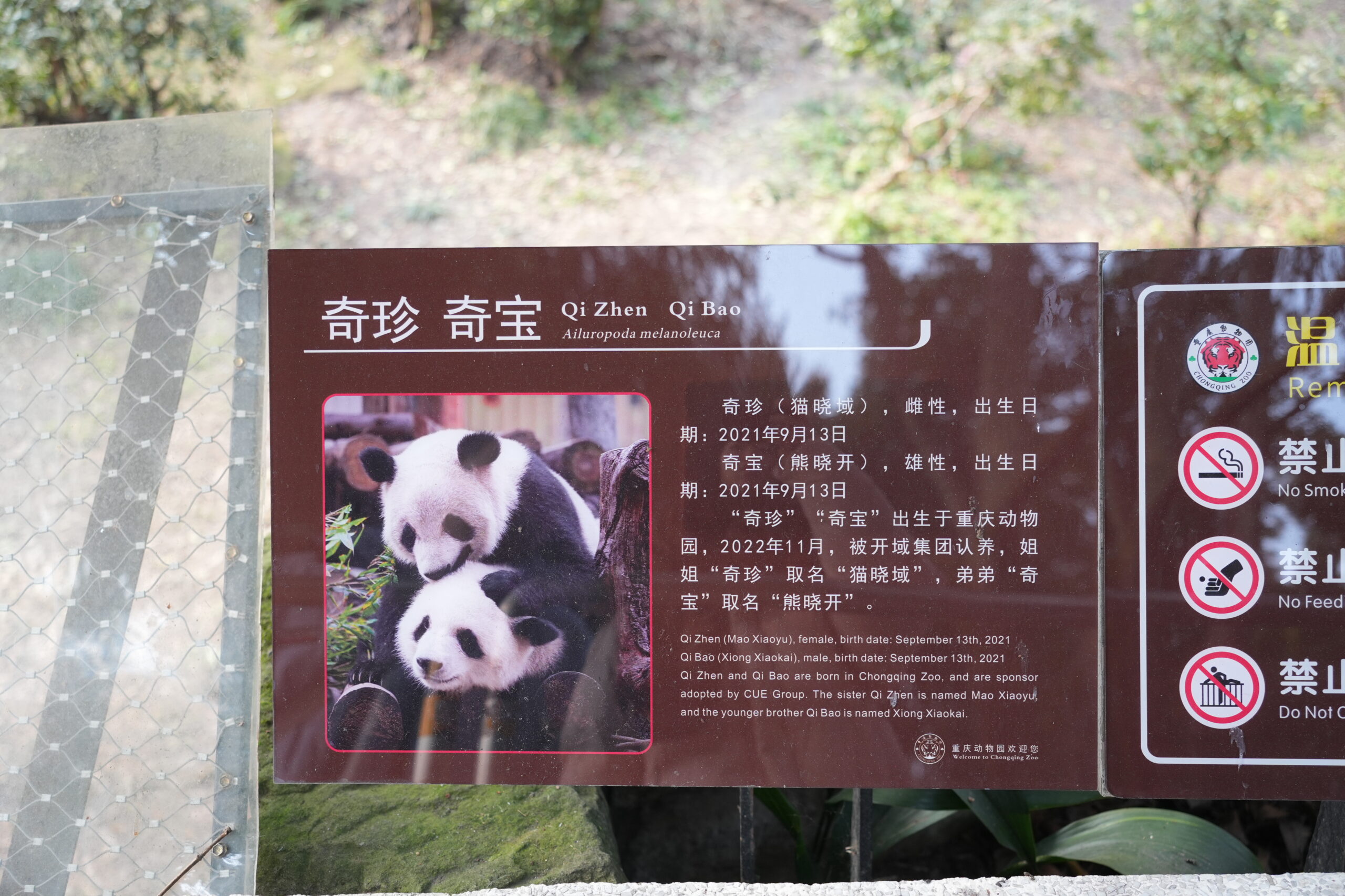 阿尔法欧欧-AlphaOO
