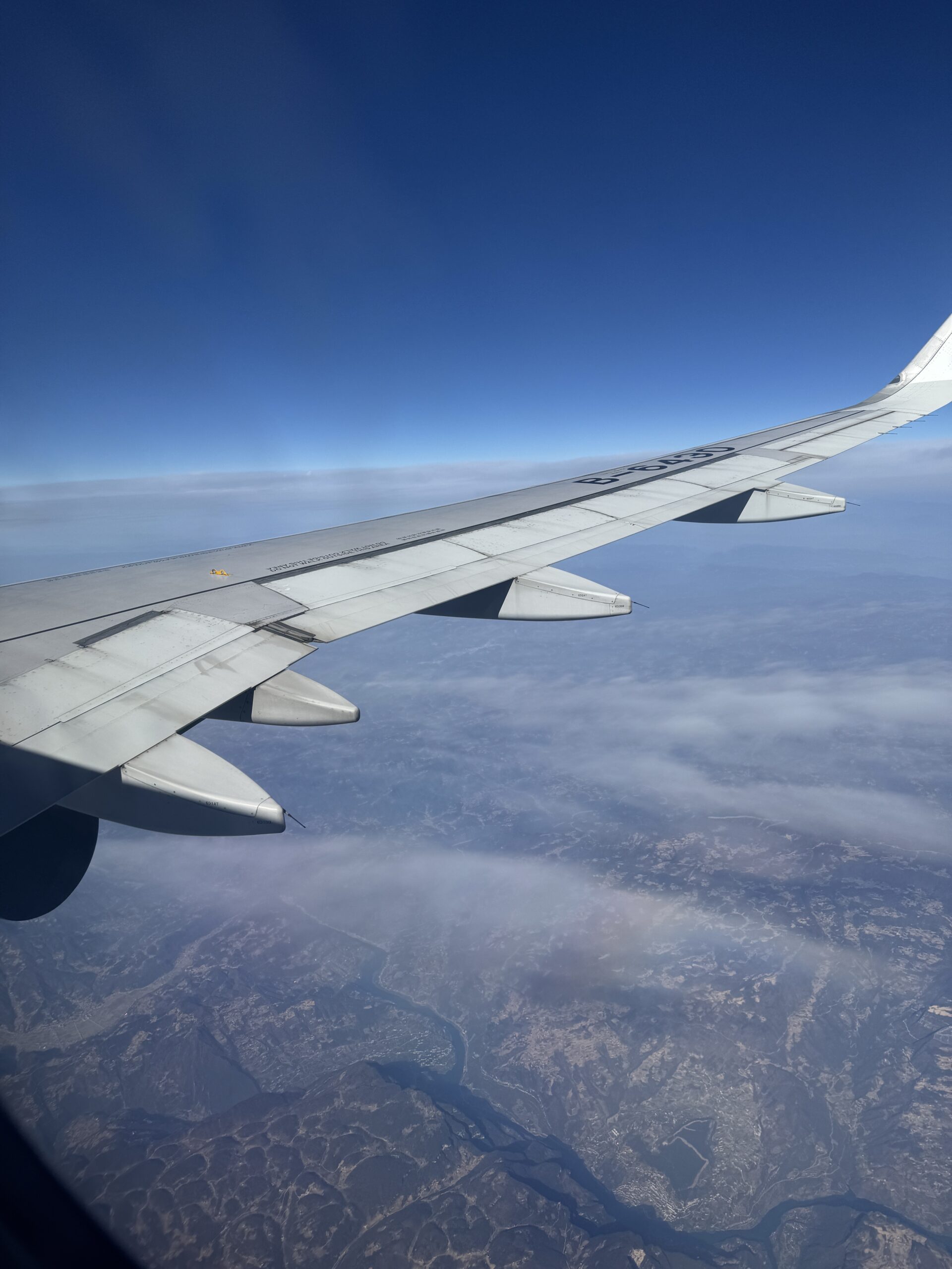 阿尔法欧欧-AlphaOO
