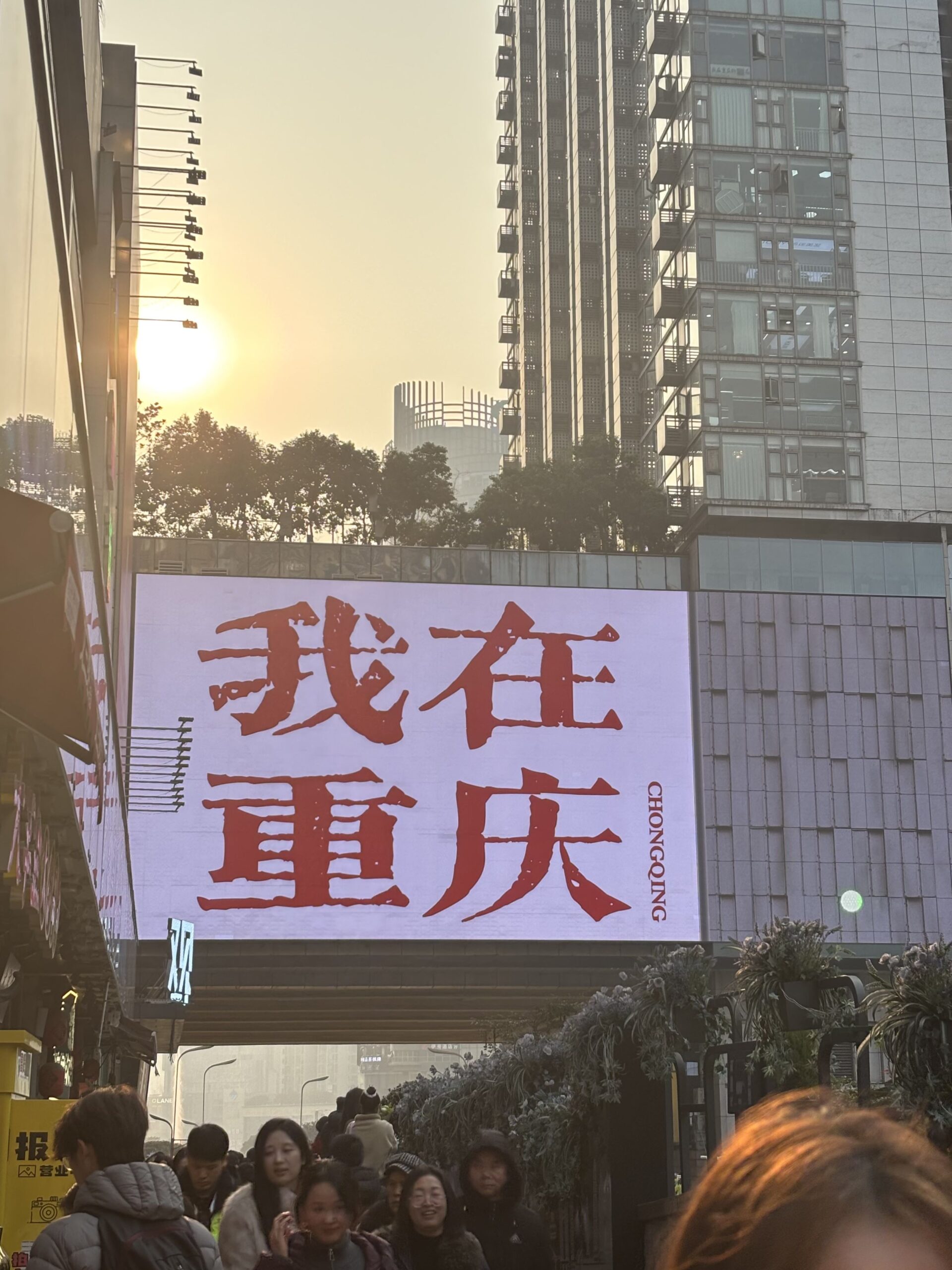 阿尔法欧欧-AlphaOO
